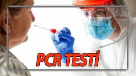 Öğretmenlere PCR Testi Zorunluluğu Ogretmenlere PCR Testi Zorunlulugu