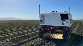 Yabani Ot Olduren Robot