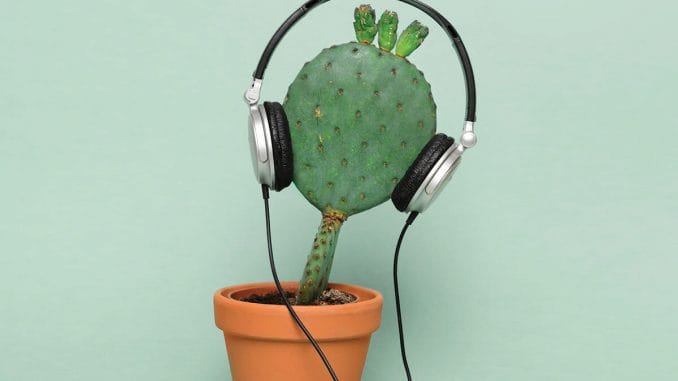 Bitkilerle Iletisim Bitkilerle Iletisim