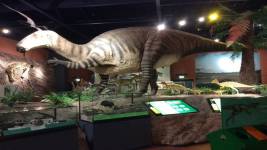 Dinozor Adasi Muzesi