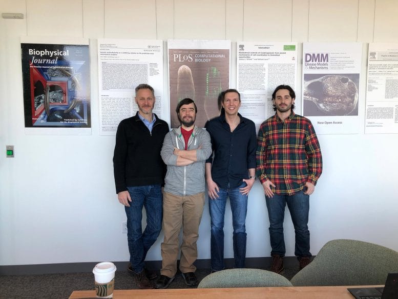 Xenobot Research Team x Xenobot Research Team x