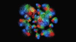 Quark Quirks