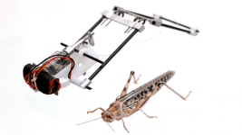 Boceklerden Esinlenerek Olusturulan Robotlar