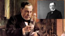 Louis Pasteur Sarbon Asisi