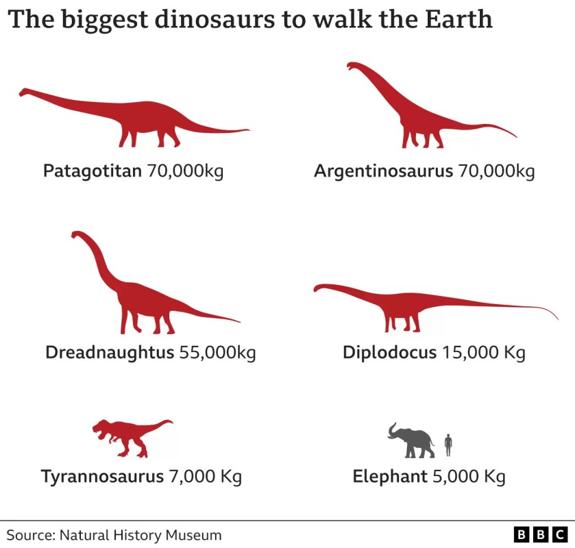 Dunyada Yasamis Olan En Buyuk Dinozorlar Dunyada Yasamis Olan En Buyuk Dinozorlar