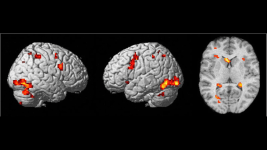 Anilarimiza Unutulmadan Once Neler Oluyor