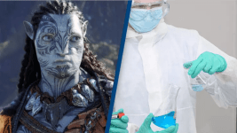 Avatari Hastaliklara Karsi Arastirmalarda Kullanma Fikri