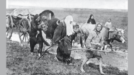 Esitlige Deger Vermenin Kuresel Gida Sistemleri Uzerinde Olumlu Etkisi