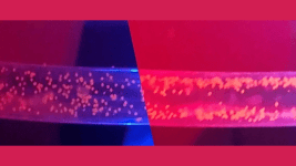 Mikroplastikleri Su Yollarimizdan Uzaklastirmanin Yolu Ultrason Dalgalari