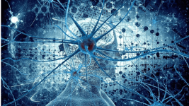 Nöromorfik Bilgisayarlar: Nedir Bunlar? Noromorfik Bilgisayarlar Nedir Bunlar