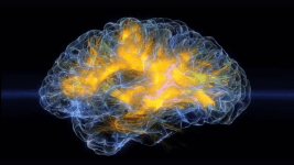 Yaslilarda Saglikli Yasam Tarzlari ve Hafizanin Gerilemesi