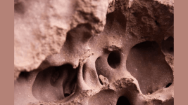 Termit Höyükleri Daha Az Enerji Kullanıyor