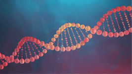 Proteinler ve DNA Nasıl İşlev Görür?