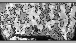 Antiferromanyetik Alanların Görüntülenmesi