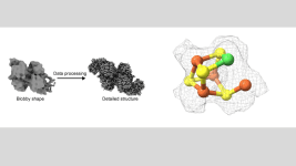 Tarih Öncesi Yaşamdan Yeni Bilgiler
