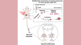 MSU Araştırmacılarından Meme Kanserine Karşı “Akıllı Bomba” Tedavisi