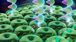 Optik hortum teknolojisi: Sıvı kristal toron dizisi üzerinde dönen spiral ışık girdapları. Kuantum girdap veri kodlama.